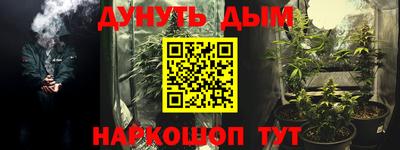 сатива Комсомольск-на-Амуре